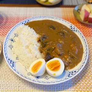 本格！鶏肉とナスのココナッツミルクカレー